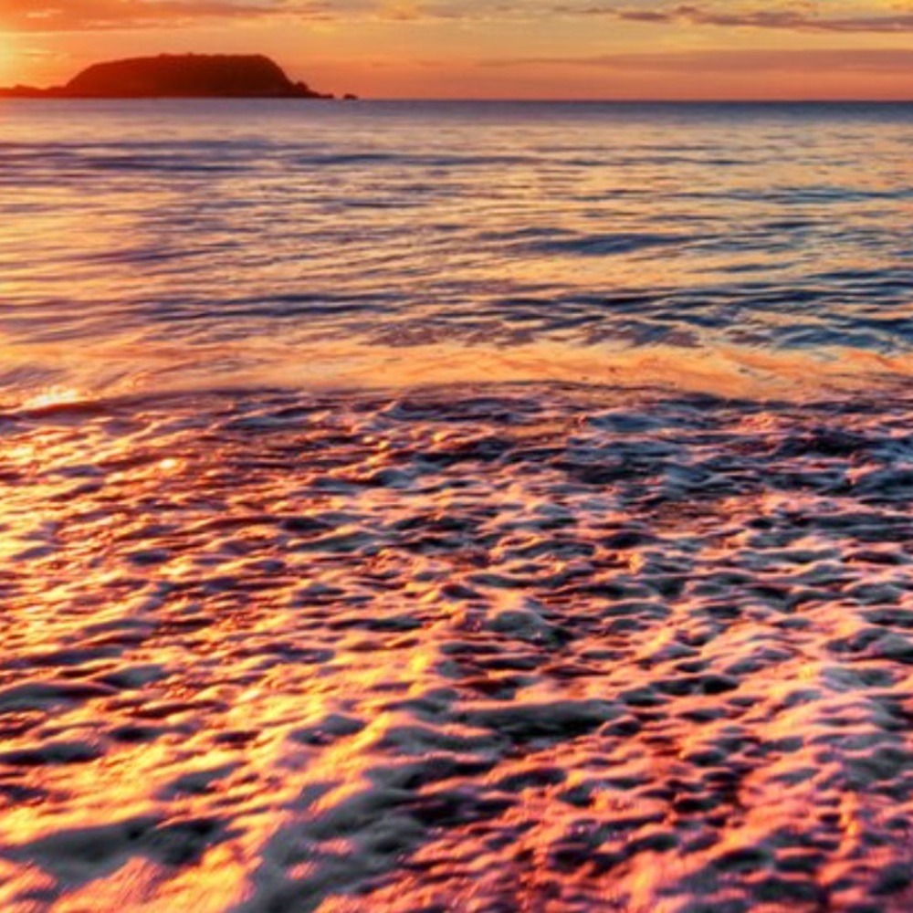 Meet your Posher, Phyllis